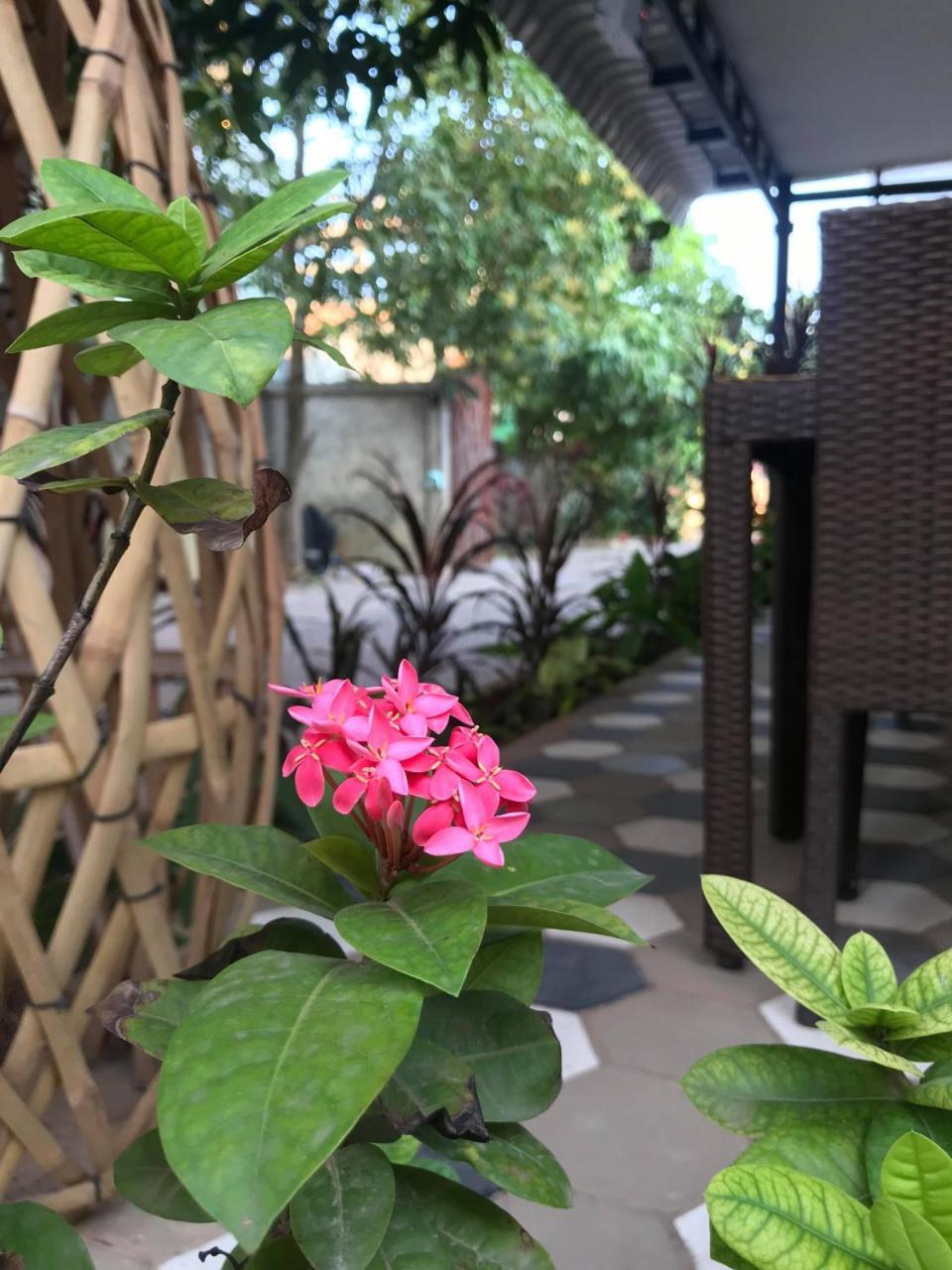 My Home Villa 시엠리아프 외부 사진